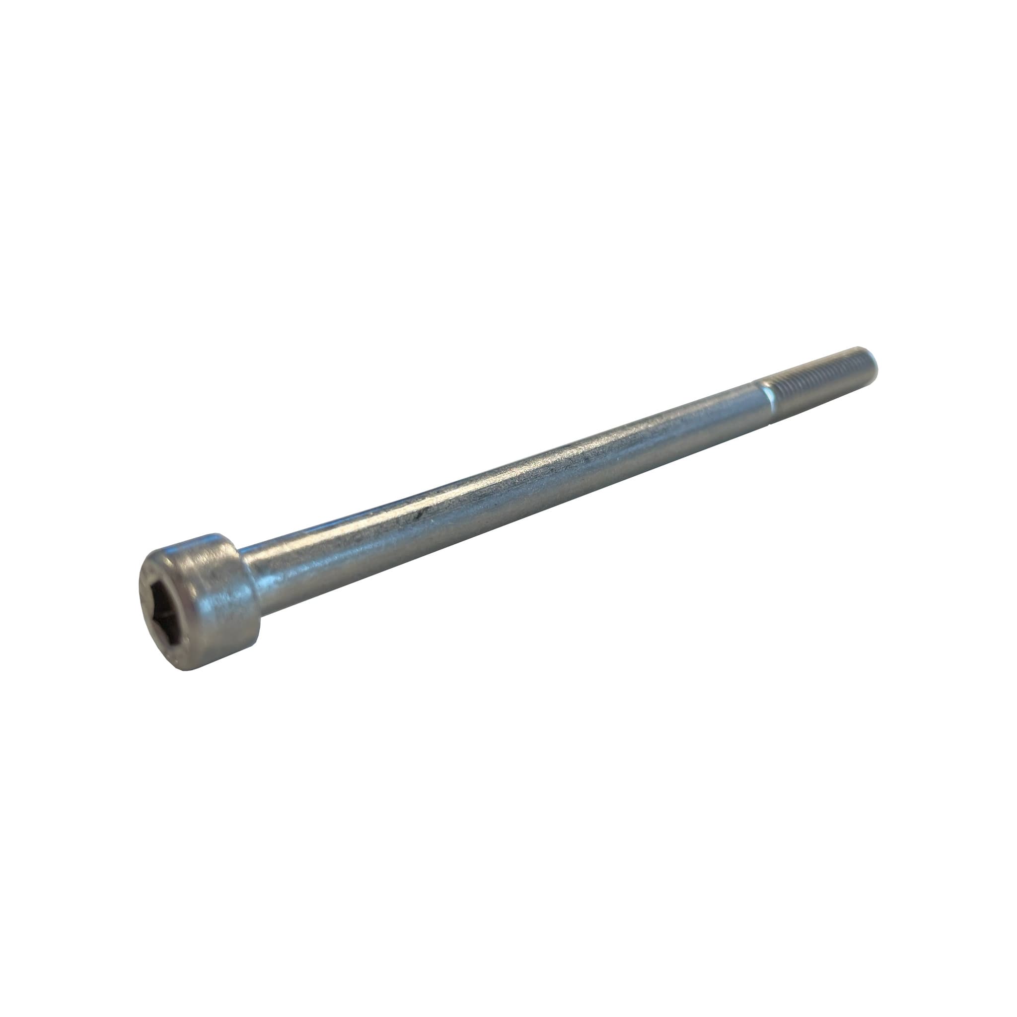 Spare part image Tornillo Allen M6 x 100 mm para pezuñas ™AktivPULS